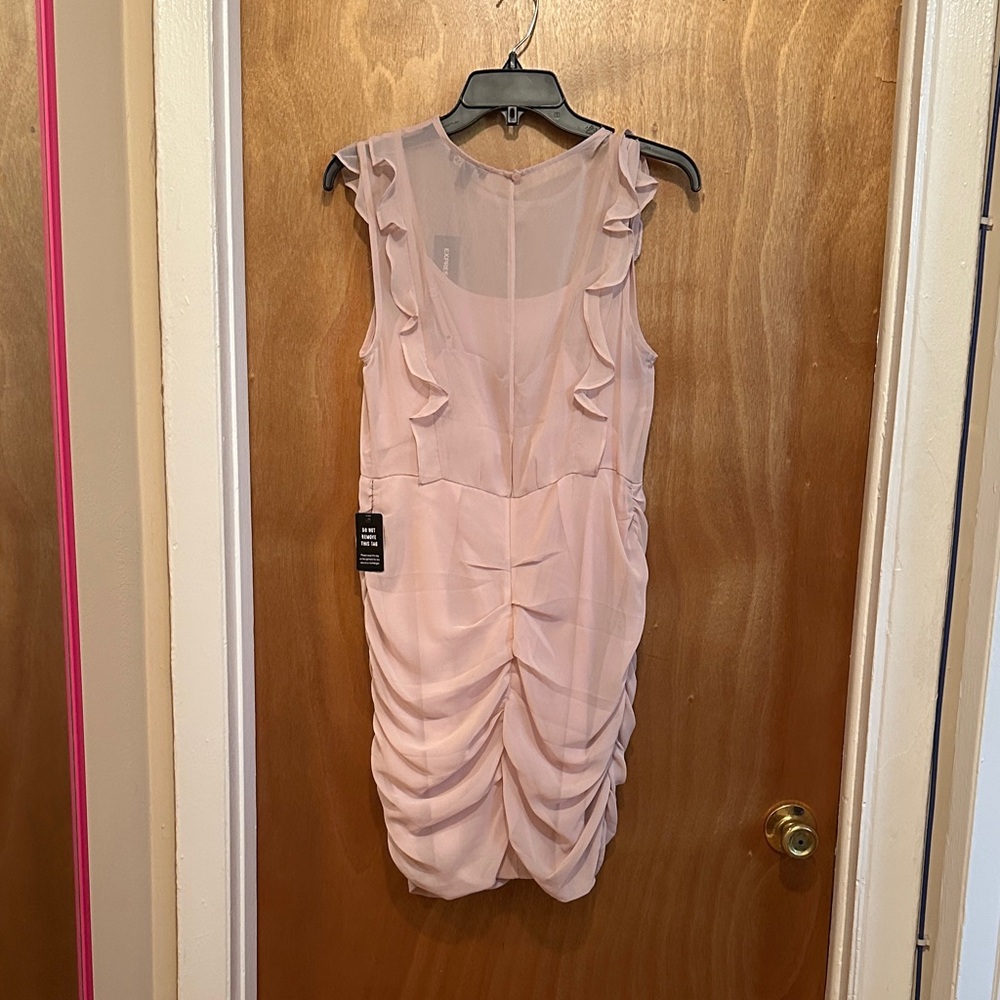 Express Blush Ruffle Mini Dress - Picture 4 of 4